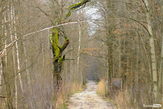 Лісівники показали, як розвивають мисливське господарство на Волині