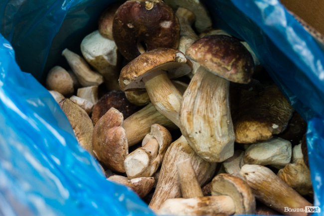 «Ліси Волині» – можливість їсти свіжі ягоди, гриби, овочі та фрукти цілий рік*