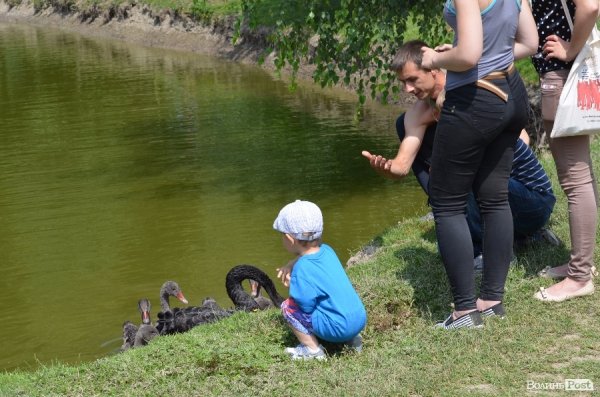Що переживають звірі під час реконструкції луцького зоопарку