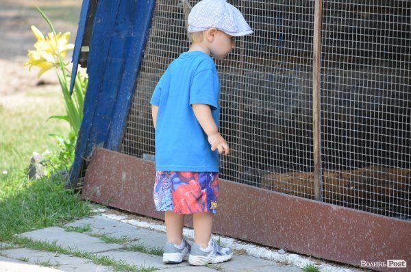 Що переживають звірі під час реконструкції луцького зоопарку