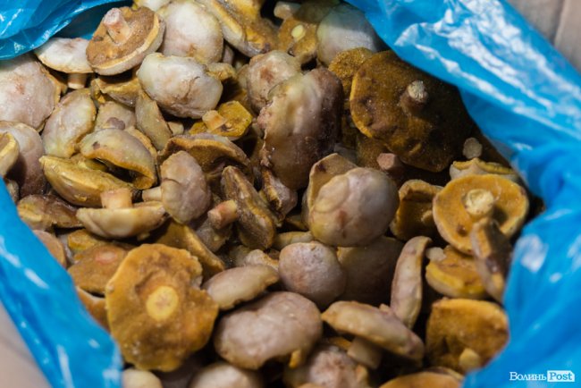 «Ліси Волині» – можливість їсти свіжі ягоди, гриби, овочі та фрукти цілий рік*