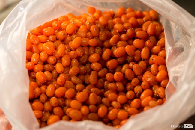 «Ліси Волині» – можливість їсти свіжі ягоди, гриби, овочі та фрукти цілий рік*