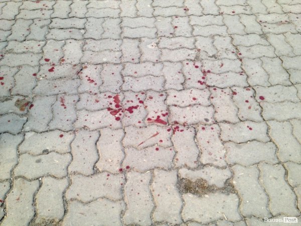 Грабіж «під кайфом» та полювання «на живця»: одна ніч із життя Луцька