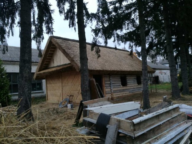 Стильно, екологічно, раціонально: дах з очерету – вибір людей 21-го століття* 