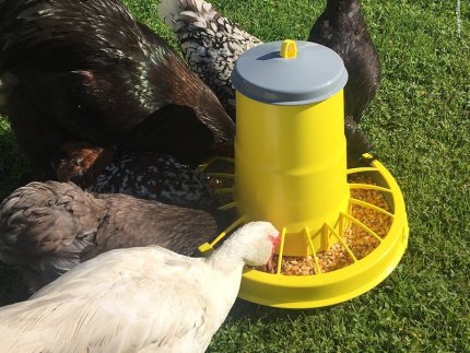 Годівниці для птиці