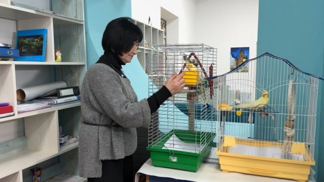 Бібліотекарка. Лучанка майже пів століття працює у книгозбірні