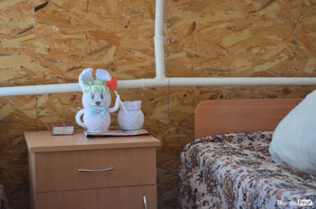 Замок божевілля і Невідомий №3: життя за стінами олицької психлікарні