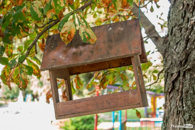 «Ми годували цукром всю північ СРСР»: як «показове» село Волині перетворилося на віддалений луцький райончик