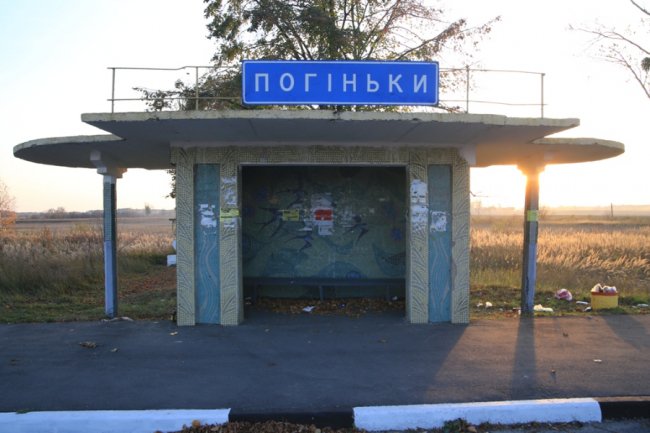 Село Погіньки