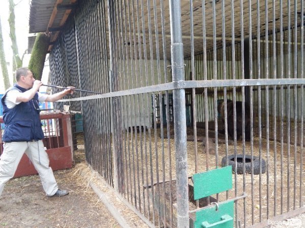 Що переживають звірі під час реконструкції луцького зоопарку