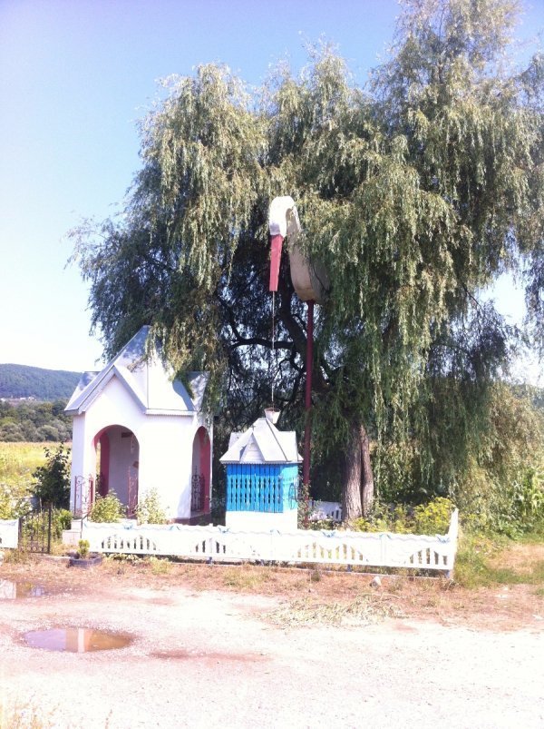 «Спорт – це змагання, а я люблю їздити із людьми, а не проти них», - новозеландська велосипедистка у Луцьку