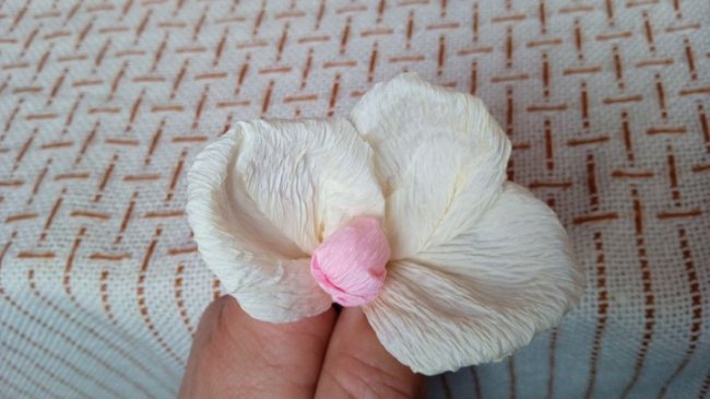 Культурна спадщина Волині: рецепти старовинних страв