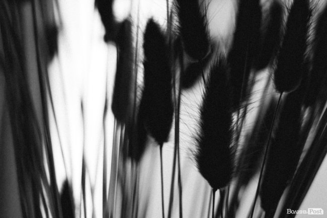 «У чому фішка співзалежних? Я намагалась його врятувати від алкоголю. Була біля нього 24/7, перестала жити своїм життям»