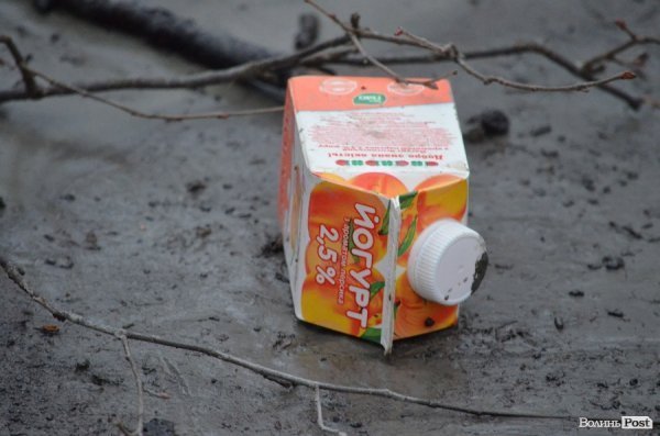 «Бурштинова мафія» на Волині: «криша», долари і селяни