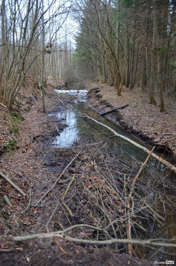 «Бурштинова мафія» на Волині: «криша», долари і селяни