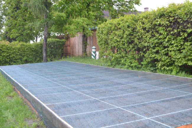 Не так легко, як здається: про лісівників Волині, «підводні камені» і обов’язки професії 