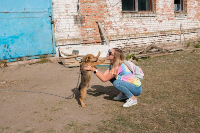 Знайомили з кіньми, катали на кареті і вчили малювати: під Луцьком – яскраве свято для «сонячних» діток. ФОТОРЕПОРТАЖ 