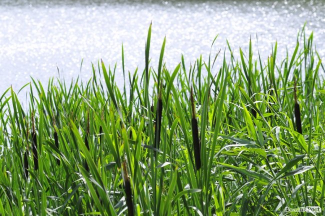 Воротнів. «Маленька Швейцарія» під Луцьком