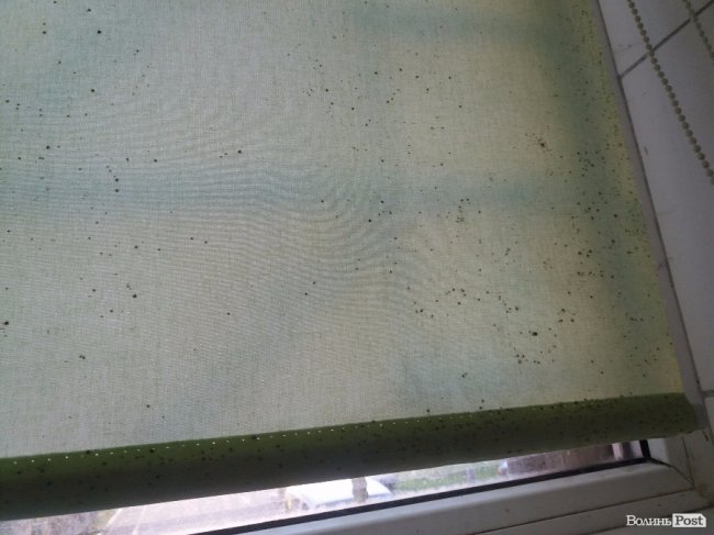 «ІнспекторGym». «СтанОК»: дошка рекордів і пліснява