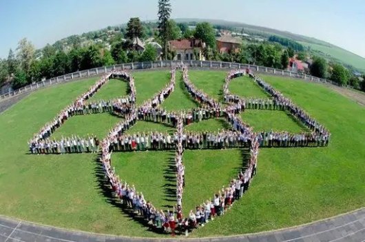 «Абетка» «Бандерштату»