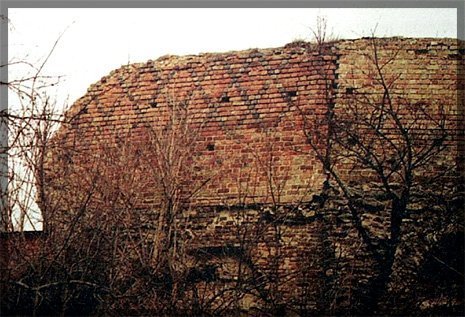 Орнаментна кладка стін Окольного замку. Фото з книги Луцький замок в історії України Птера Троневича