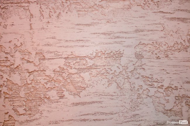 Якість та екологічність: у луцькому салоні елітних фарб і штукатурок «San Marco» провели семінар для хіміків*