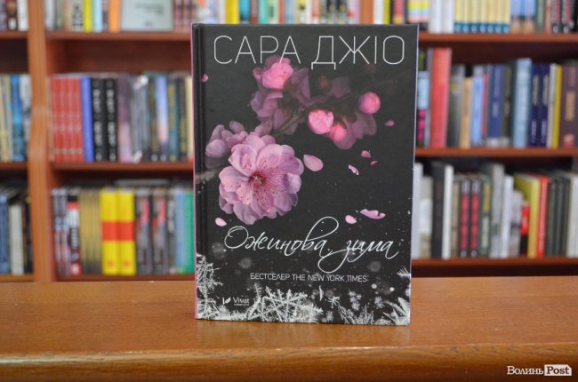 ТОП-5 книг: що читати в останні теплі дні 2017-го