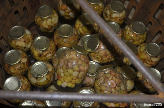 Маневицькими грибами смакуватиме Європа