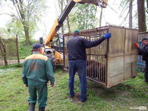 Що переживають звірі під час реконструкції луцького зоопарку