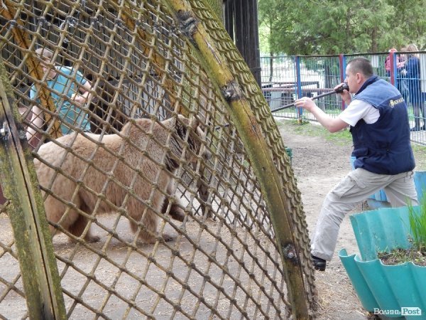 Що переживають звірі під час реконструкції луцького зоопарку