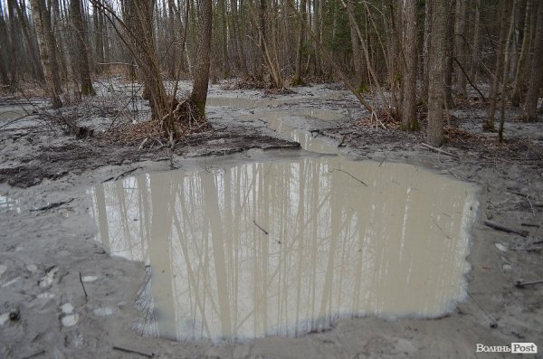 «Бурштинова мафія» на Волині: «криша», долари і селяни