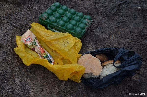 «Бурштинова мафія» на Волині: «криша», долари і селяни