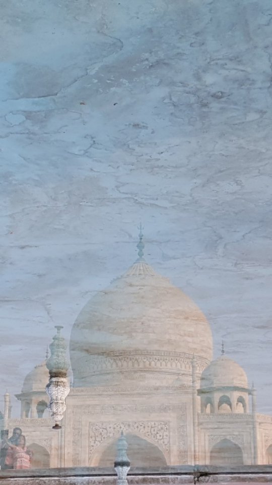 «Нотатки мандрівника» Христини Губської: несвященні корови, багато грошей та еротика