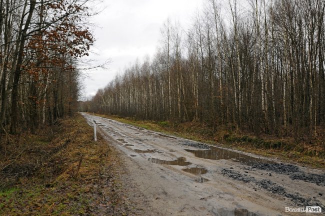 Лісівники показали, як розвивають мисливське господарство на Волині