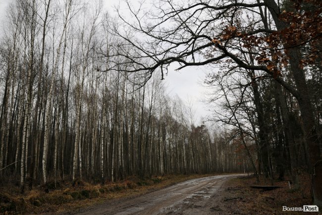 Лісівники показали, як розвивають мисливське господарство на Волині