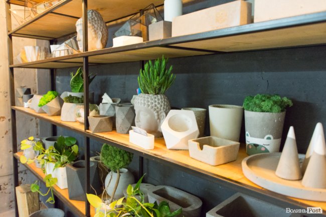 Бізнес у стилі «лофт»: майстриня з Луцька вирощує рослини в бетоні. ФОТО