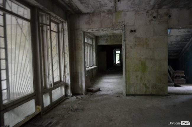 Життя на місці смерті: як зону відчуження «захоплює» ліс