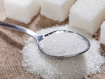 Хто заробляє на «солодкому дитинстві» луцьких дошкільнят?