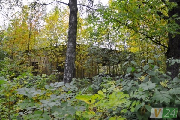 На руїнах слави