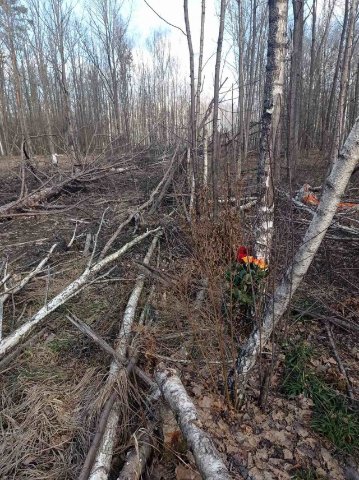 Спомин про Героя. Льотчик, який служив у Луцьку, ціною життя врятував цивільних