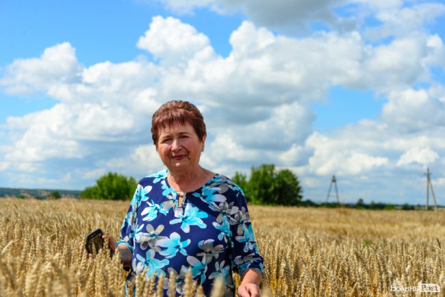 «Люблю кожен колосок»: розмова про 51 рік роботи серед пшеничного різноманіття. ФОТО