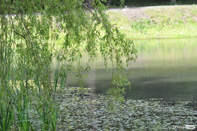 Воротнів. «Маленька Швейцарія» під Луцьком