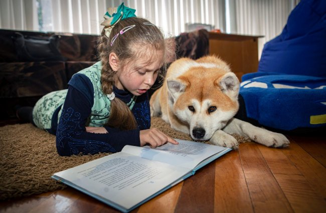 ТОП-10 порід великих собак для сімей з дітьми: надійні та вірні друзі