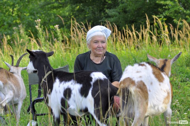 «Вони, як люди - кожна зі своїм характером», - луцька «козяча мама»