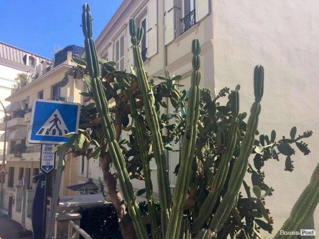 Нотатки мандрівника. Монако: сонце і пафос Монте-Карло