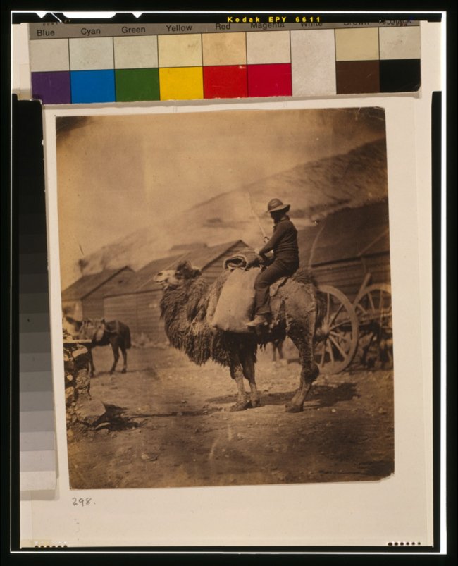 Кримська війна та Волинський полк. ФОТО