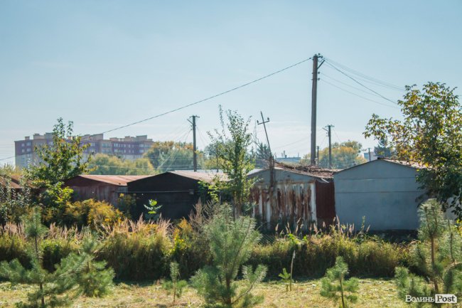 Чисте повітря та сільська тиша: за що лучани люблять Кічкарівку. ФОТО