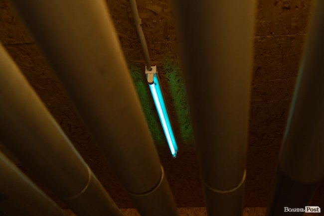 Зметуть весь бруд, як торнадо: де у Луцьку безпечно та без зайвих клопотів почистити килими. ФОТО*