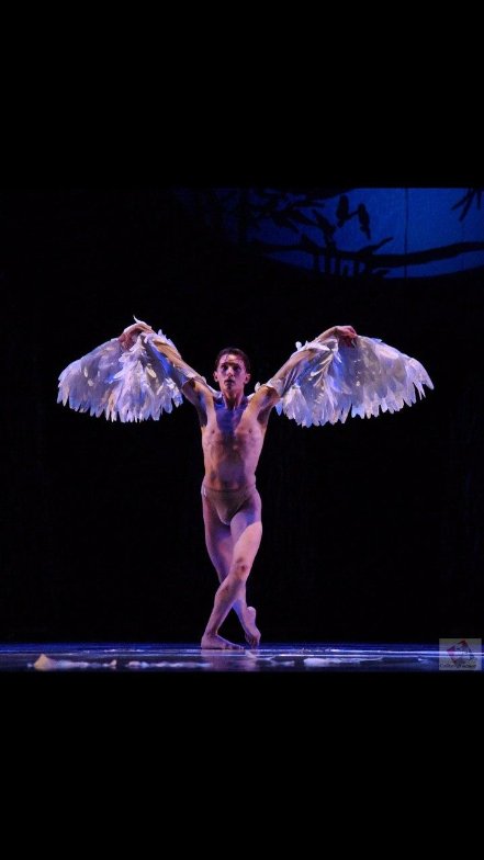 Шлях до «заслуженого»: відверта розмова із хореографом з Луцька. ФОТО. ВІДЕО