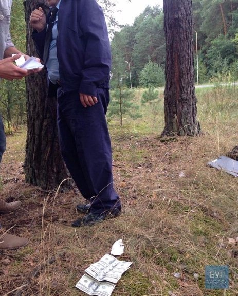 Волинь корупційна: ТОП-10 хабарів 2016 року